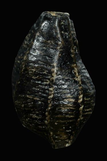 เบี้ยหอยโข่ง วัดหนัง รูปที่ 2