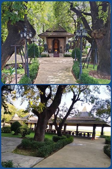 ขายที่ดิน อาศรมหมอชีวก สิงห์บุรี เกือบ 10 ไร่  ติดถนนใหญ่สายเอเซีย  ขาเข้ากรุงเทพ พร้อมอาคารบ้านไม้สักเรือนไทยหลังใหญ่หลายอาคาร อำเภอเมืองสิ รูปที่ 4