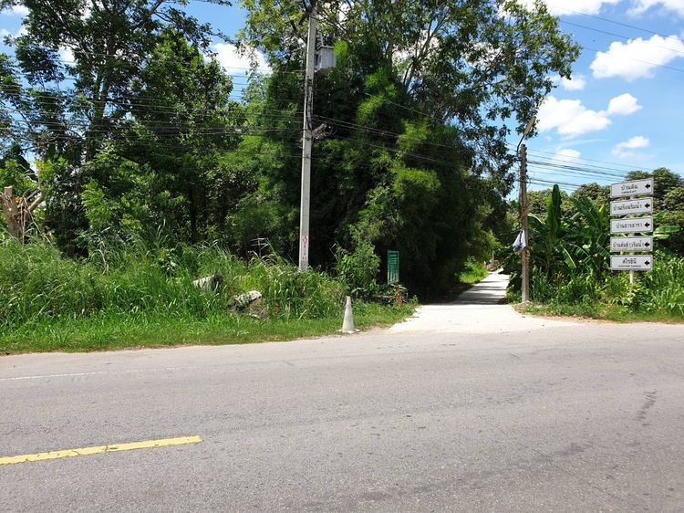 ขายที่ดินเปล่า สวนผึ้ง เนื้อที่ 1 ไร่ - 3 งาน - 53 ตารางวา รูปที่ 3