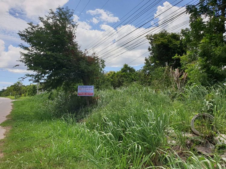 ขายที่ดินเปล่า สวนผึ้ง เนื้อที่ 1 ไร่ - 3 งาน - 53 ตารางวา รูปที่ 2