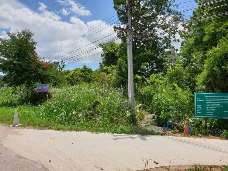 ขายที่ดินเปล่า สวนผึ้ง เนื้อที่ 1 ไร่ - 3 งาน - 53 ตารางวา