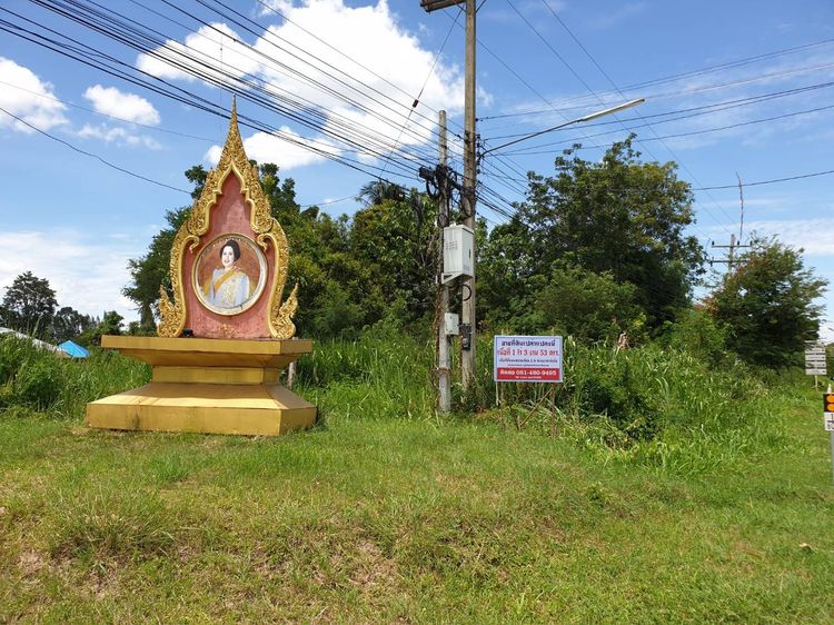 ขายที่ดินเปล่า สวนผึ้ง เนื้อที่ 1 ไร่ - 3 งาน - 53 ตารางวา รูปที่ 4
