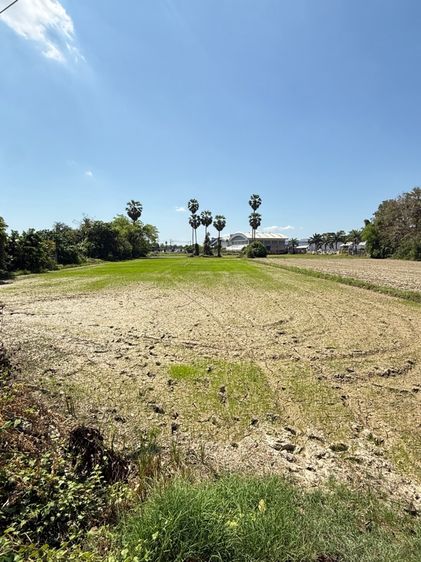 ใช่ 🏡 ขายที่ดินทำเลดี อ.บ้านลาด จ.เพชรบุรี (เจ้าของขายเอง) ขนาด 2 ไร่ 1 งาน (โฉนดพร้อมโอน) รูปที่ 4