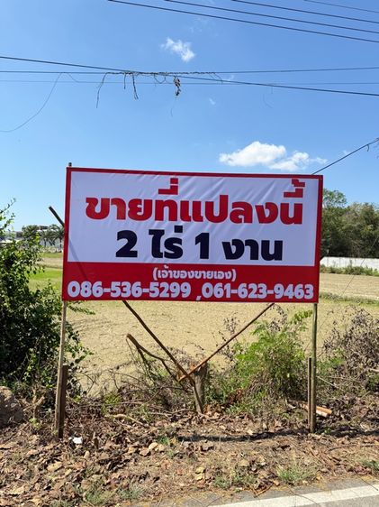 🏡 ขายที่ดินทำเลดี อ.บ้านลาด จ.เพชรบุรี (เจ้าของขายเอง) ขนาด 2 ไร่ 1 งาน (โฉนดพร้อมโอน)