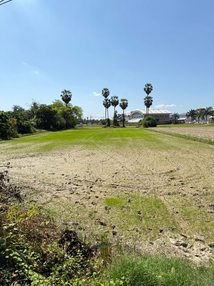 ใช่ 🏡 ขายที่ดินทำเลดี อ.บ้านลาด จ.เพชรบุรี (เจ้าของขายเอง) ขนาด 2 ไร่ 1 งาน (โฉนดพร้อมโอน) รูปที่ 3