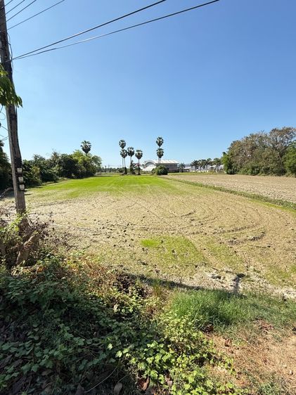 ใช่ 🏡 ขายที่ดินทำเลดี อ.บ้านลาด จ.เพชรบุรี (เจ้าของขายเอง) ขนาด 2 ไร่ 1 งาน (โฉนดพร้อมโอน) รูปที่ 2