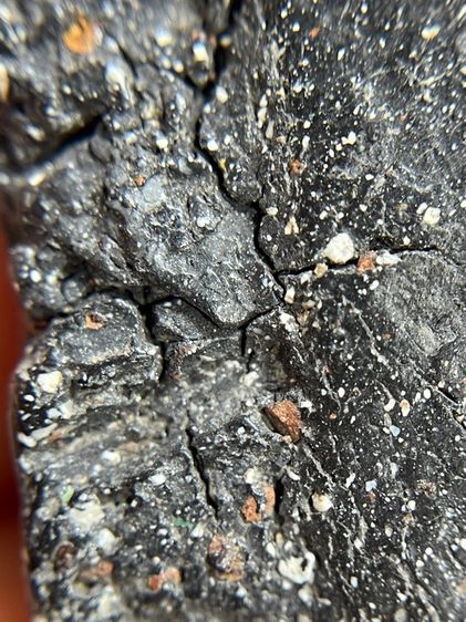 พระสมเด็จพิมพ์ใหม่หลังปริเนื้อใบลาน รูปที่ 10