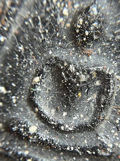 พระสมเด็จพิมพ์ใหม่หลังปริเนื้อใบลาน รูปที่ 5