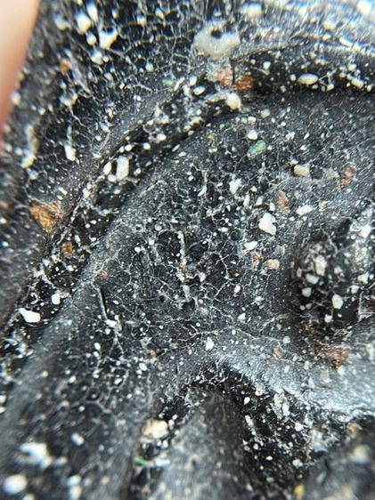 พระสมเด็จพิมพ์ใหม่หลังปริเนื้อใบลาน รูปที่ 9