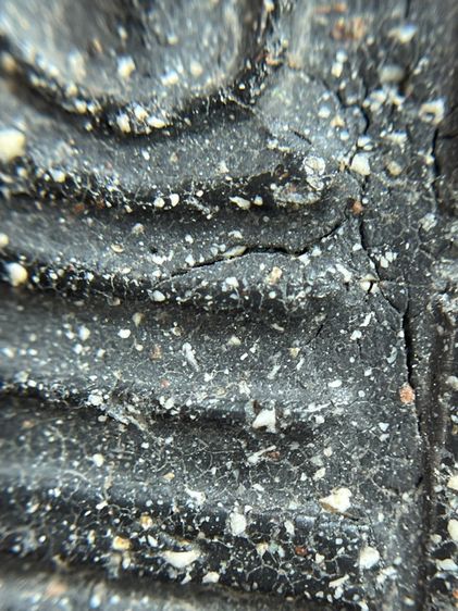 พระสมเด็จพิมพ์ใหม่หลังปริเนื้อใบลาน รูปที่ 7