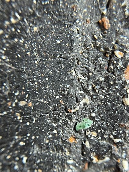 พระสมเด็จพิมพ์ใหม่หลังปริเนื้อใบลาน รูปที่ 13