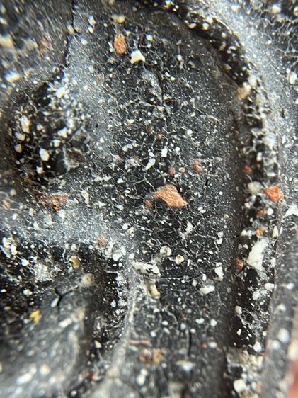 พระสมเด็จพิมพ์ใหม่หลังปริเนื้อใบลาน รูปที่ 6