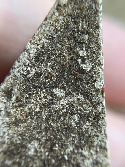 พระสมเด็จนางพญาพิมพ์กรูวัดกลางคลองข่อย รูปที่ 12