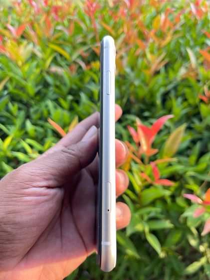 Iphone 11 128g รูปที่ 3