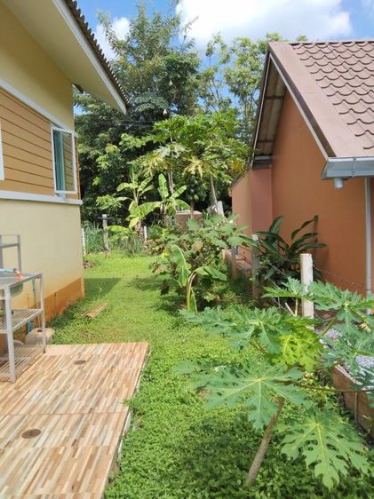 มีบางส่วน 2018 ไม่ใช่ ขายบ้านชั้นเดียวยกพื้น ปากช่อง รูปที่ 3