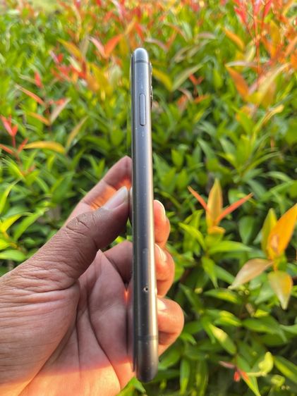 Iphone 11  64g รูปที่ 3