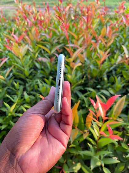 Iphone 11 128g รูปที่ 5