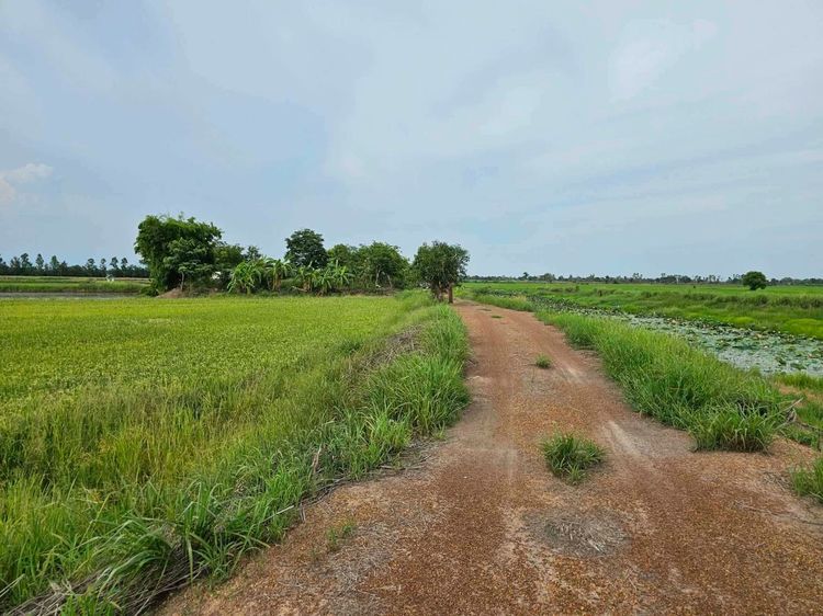 ขายที่ดิน หมู่ 3 ตำบลท่าเรือ อำเภอปากพลี จังหวัดนครนายก รูปที่ 2