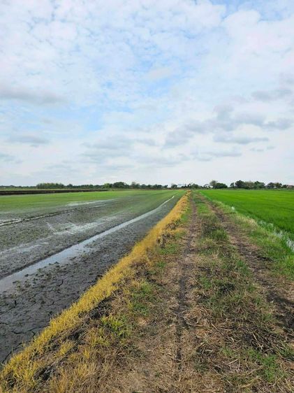 ขายที่ดิน หมู่ 3 ตำบลท่าเรือ อำเภอปากพลี จังหวัดนครนายก รูปที่ 4