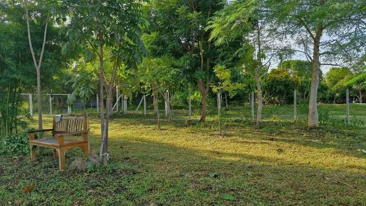 ที่ดินพร้อมบ้านสไตล์รีสอร์ท รูปที่ 2