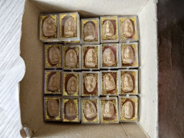 วัดพลับ ปี14