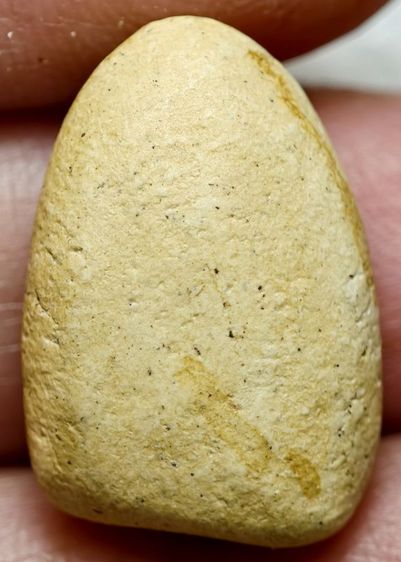 วัดพลับ ปี14 รูปที่ 6