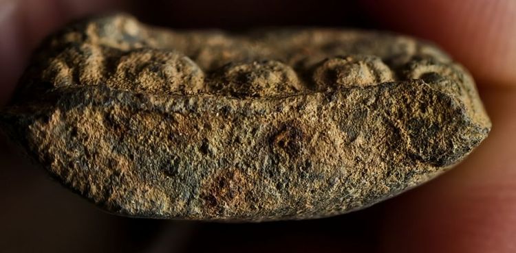 พระกรุเจดีย์ทอง(เจดีย์ปทุมวดี) รูปที่ 3