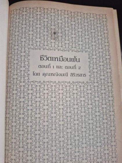 ชีวิตเหมือนฝัน  รูปที่ 9