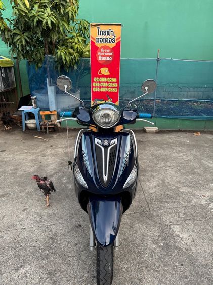 YAMAHA FILANO 115 i หัวฉีดออโต้สตาร์ทมือ เครื่องดีมาก สีสวยมาก ต้องมาดูของจริง มีสถานที่ให้ทดลองขับขี่ก่อนซื้อ รูปที่ 5