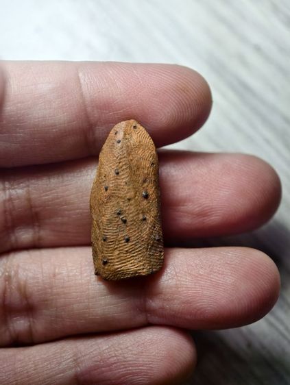 พระรอด รูปที่ 2