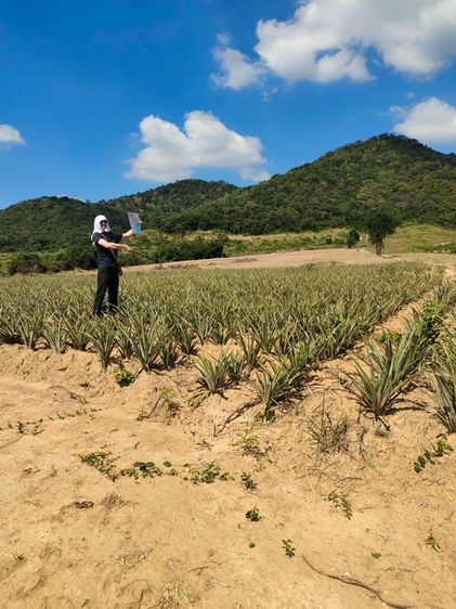 ใช่ ขายที่ดินวิวสวย 160 วา ตำบลทับใต้ หัวหิน รูปที่ 4