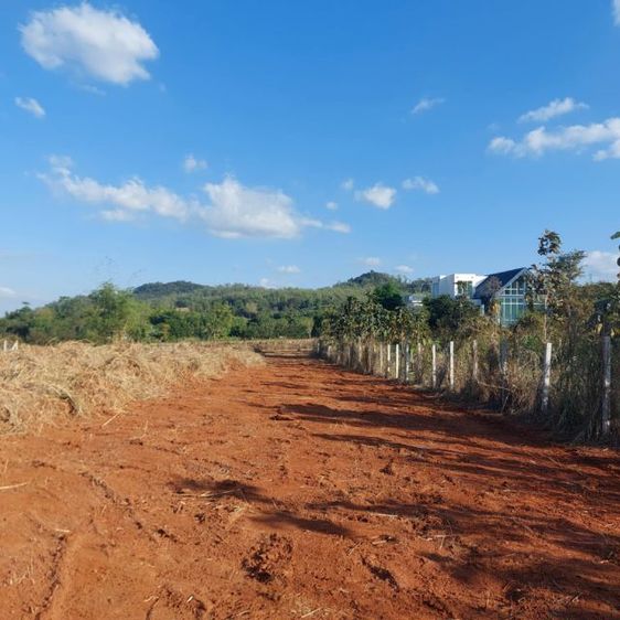 ใช่ ที่ดินปากช่อง วิวเขาสวย🖼️ รูปที่ 3