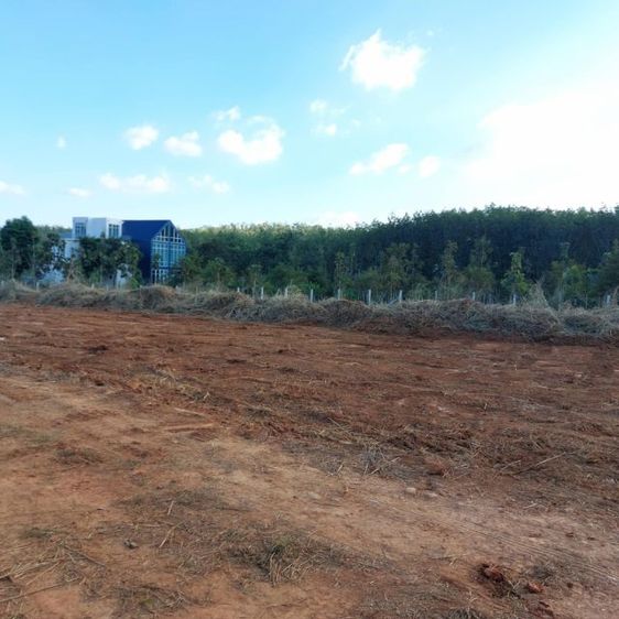 ใช่ ที่ดินปากช่อง วิวเขาสวย🖼️ รูปที่ 4