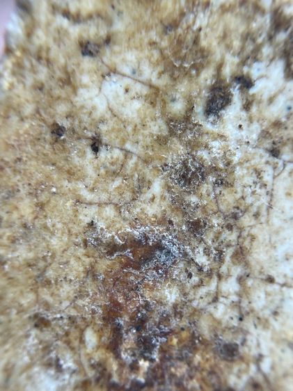 พระสมเด็จพิมพ์เกศชโยหกชั้นเนื้อแตกลายเก่า รูปที่ 13