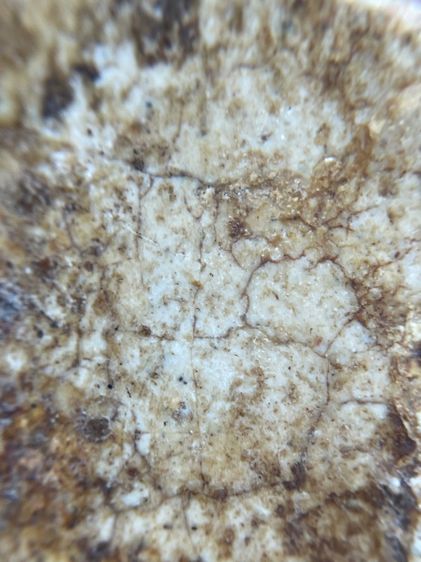 พระสมเด็จพิมพ์เกศชโยหกชั้นเนื้อแตกลายเก่า รูปที่ 10