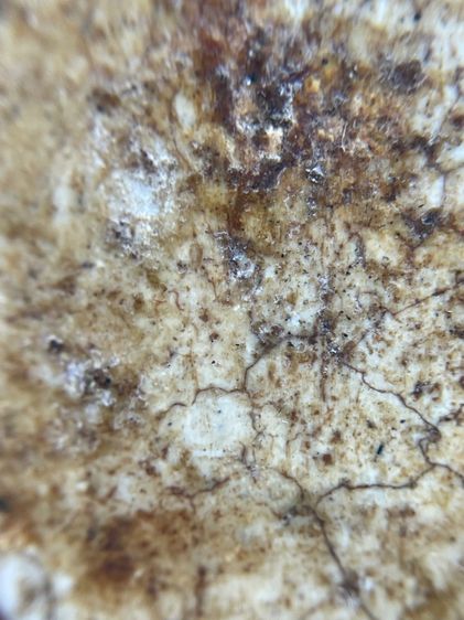 พระสมเด็จพิมพ์เกศชโยหกชั้นเนื้อแตกลายเก่า รูปที่ 12