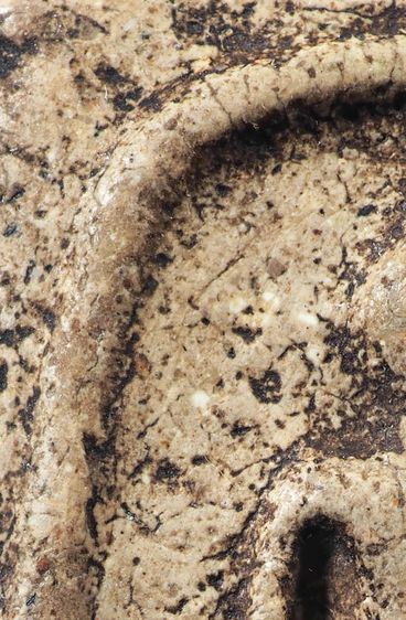 พระสมเด็จวัดระฆัง พิมพ์ใหญ่ รูปที่ 5