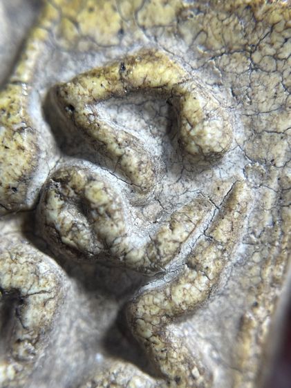 พระสมเด็จวัดระฆังพิมพ์ยันต์ยุ่ง 2411 เนื้อแตกลายงาสังคโลก รูปที่ 11