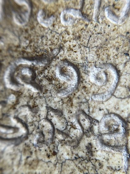 พระสมเด็จวัดระฆังพิมพ์ยันต์ยุ่ง 2411 เนื้อแตกลายงาสังคโลก รูปที่ 15