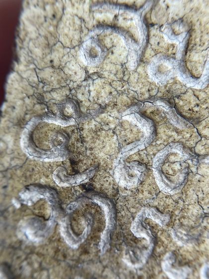 พระสมเด็จวัดระฆังพิมพ์ยันต์ยุ่ง 2411 เนื้อแตกลายงาสังคโลก รูปที่ 16