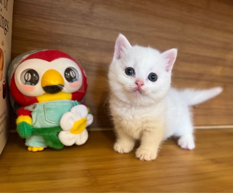 ด .ช มันกิ้น🐻‍❄️