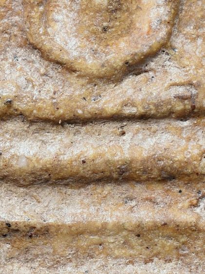 พระบ้าน ให้เช่าบูชาพระสมเด็จวัดระฆัง พิมพ์ใหญ่ เนื้อเก่าธรรมชาติ รูปที่ 11