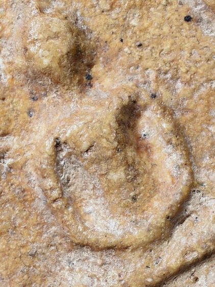 พระบ้าน ให้เช่าบูชาพระสมเด็จวัดระฆัง พิมพ์ใหญ่ เนื้อเก่าธรรมชาติ รูปที่ 2