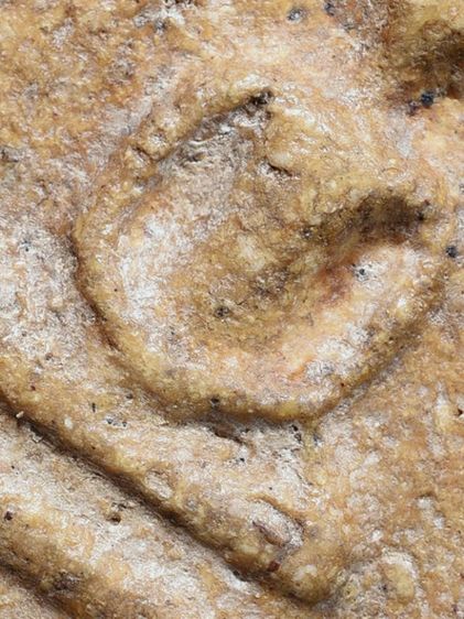 พระบ้าน ให้เช่าบูชาพระสมเด็จวัดระฆัง พิมพ์ใหญ่ เนื้อเก่าธรรมชาติ รูปที่ 16