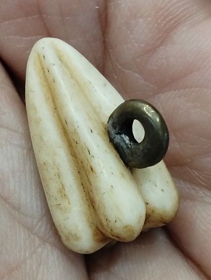 มะเฟืองหลวงพ่อพักตร์