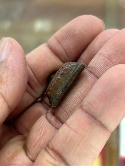 หลวง​ปู่​ทวด​ รูปที่ 3