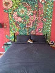 ให้เช่าบ้านกลางเมือง เกษตร-นวมินทร์  ซ.นวมินทร์ 70 แยก 11-2 ใกล้กับ  Chocolate Ville