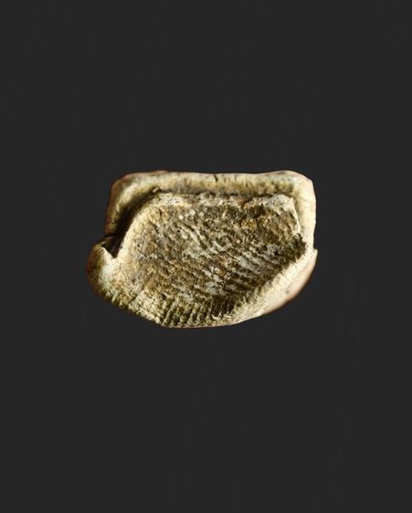 พระรอด รูปที่ 4