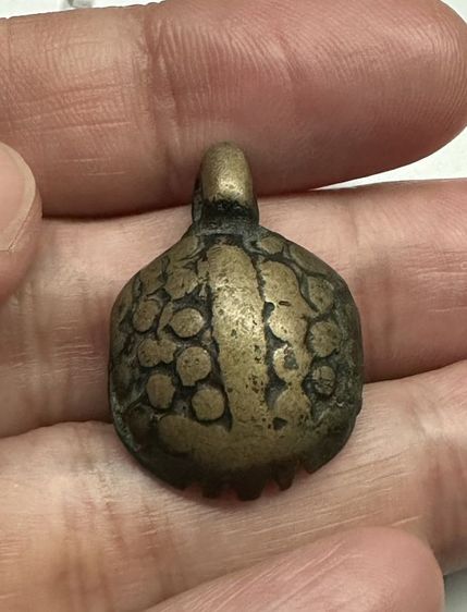 เต่าเรือน​หลวงพ่อเงิน รูปที่ 5