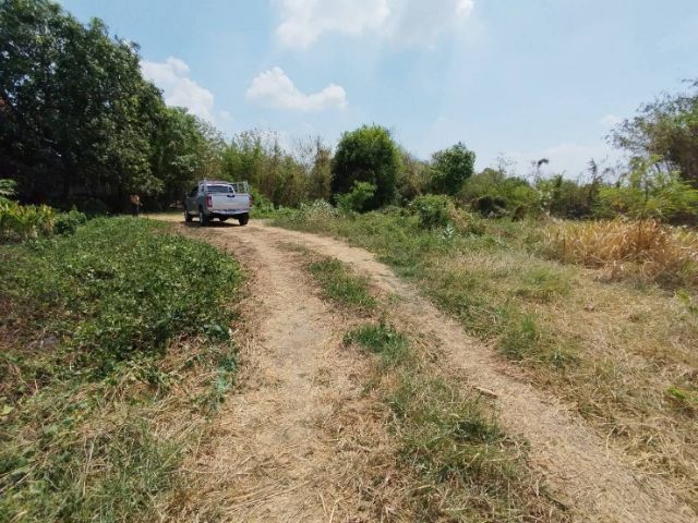 ขายที่ดินติดวัดกกโก